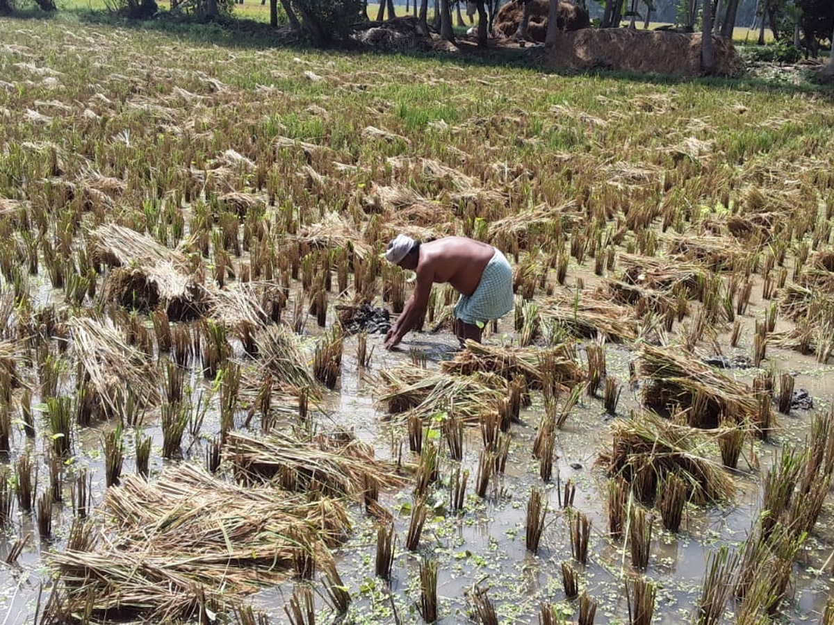 Rain in Andhra Pradesh Photo Gallery - Sakshi9