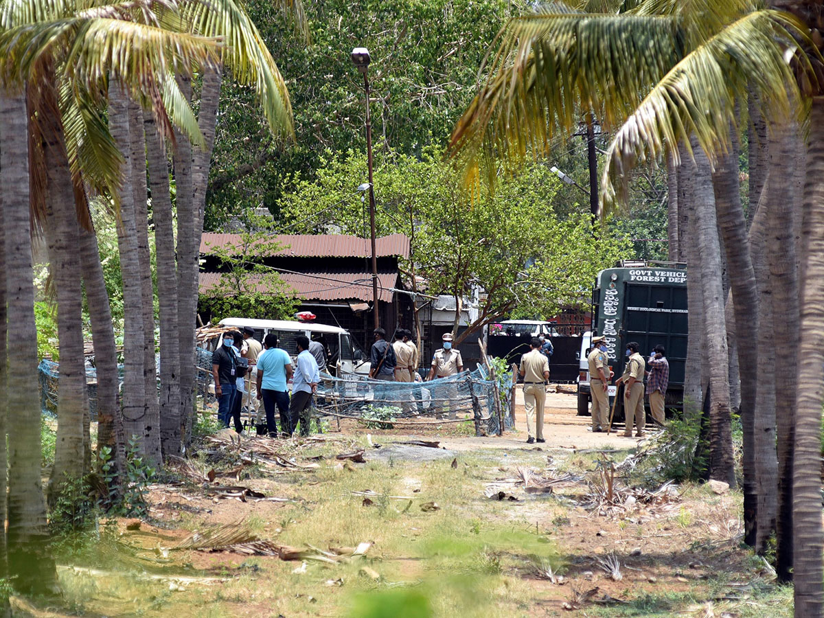 Leopard found in hyderabad Road Photo Gallery - Sakshi11