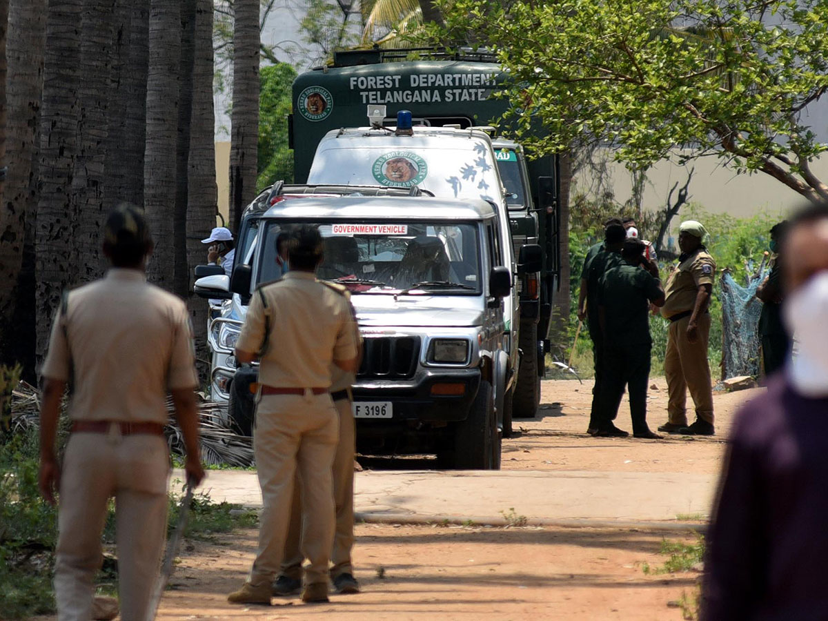 Leopard found in hyderabad Road Photo Gallery - Sakshi3