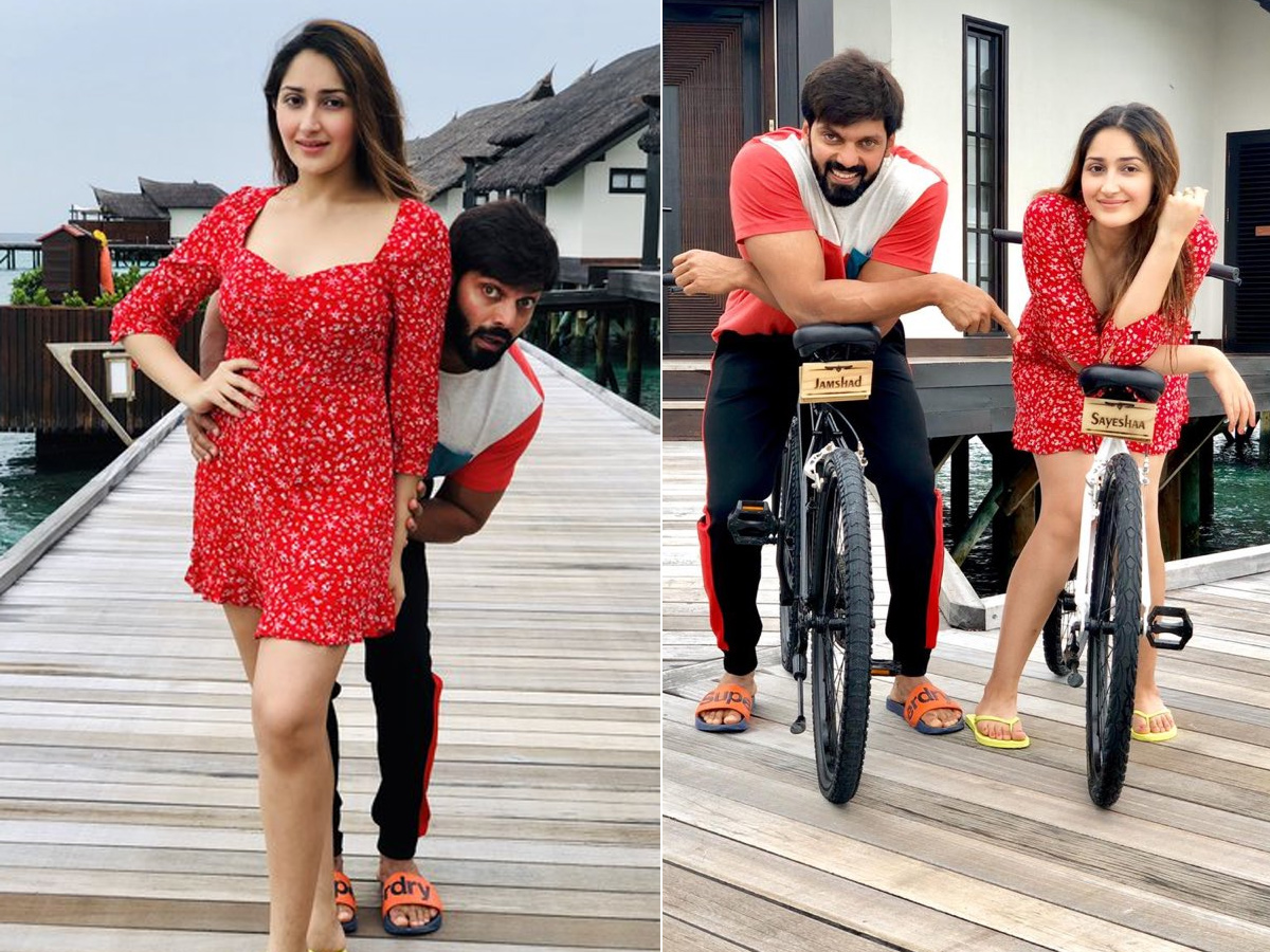 Lovely Couple Arya and Sayyeshaa saigal Photo Gallery - Sakshi8