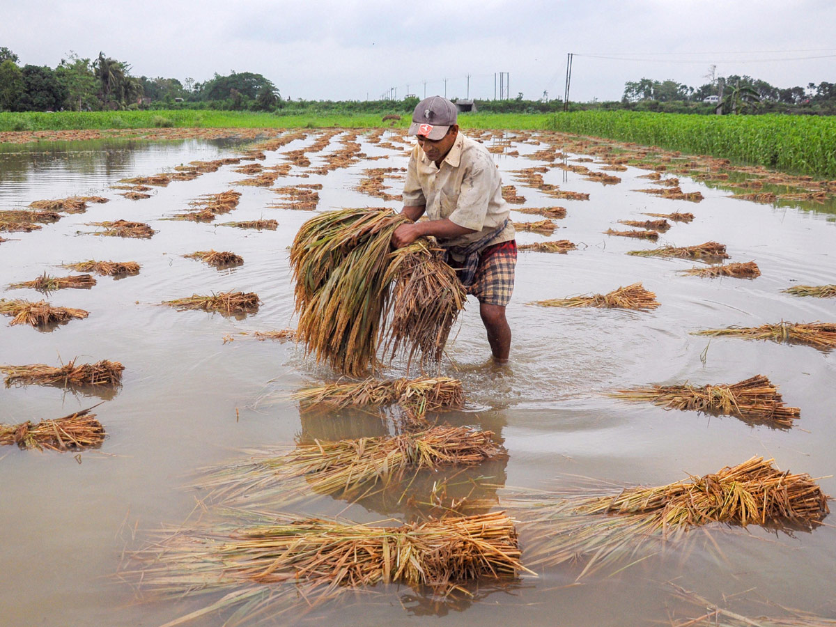 West Bengal Cyclone Amphan Photo Gallery - Sakshi14