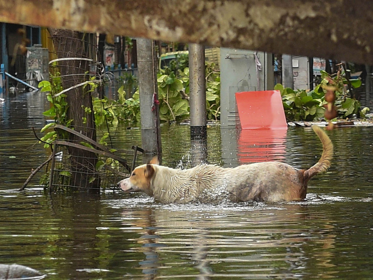 West Bengal Cyclone Amphan Photo Gallery - Sakshi29