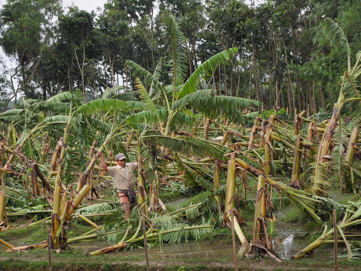 West Bengal Cyclone Amphan Photo Gallery - Sakshi34