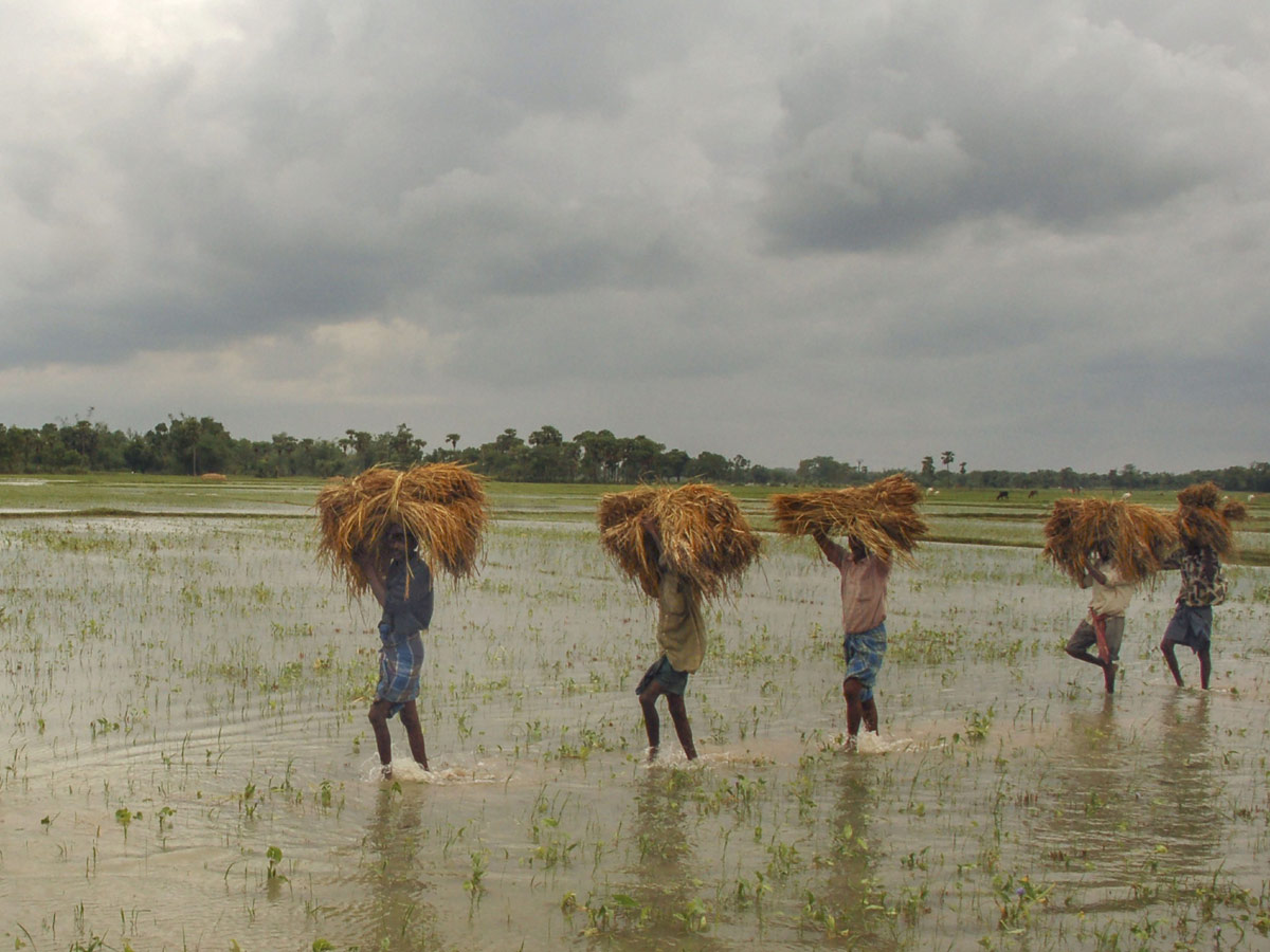 West Bengal Cyclone Amphan Photo Gallery - Sakshi5