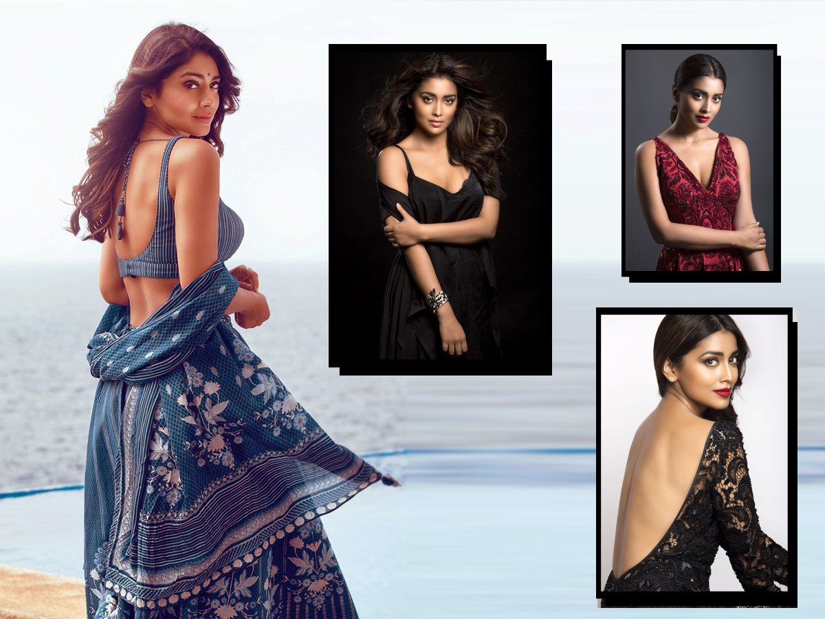 Heroine Shriya Saran Exclusive Photo Gallery - Sakshi1