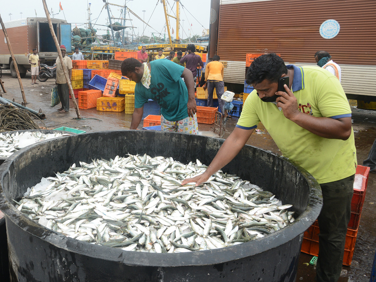 visakhapatnam fishing harbour photo gallery - Sakshi1