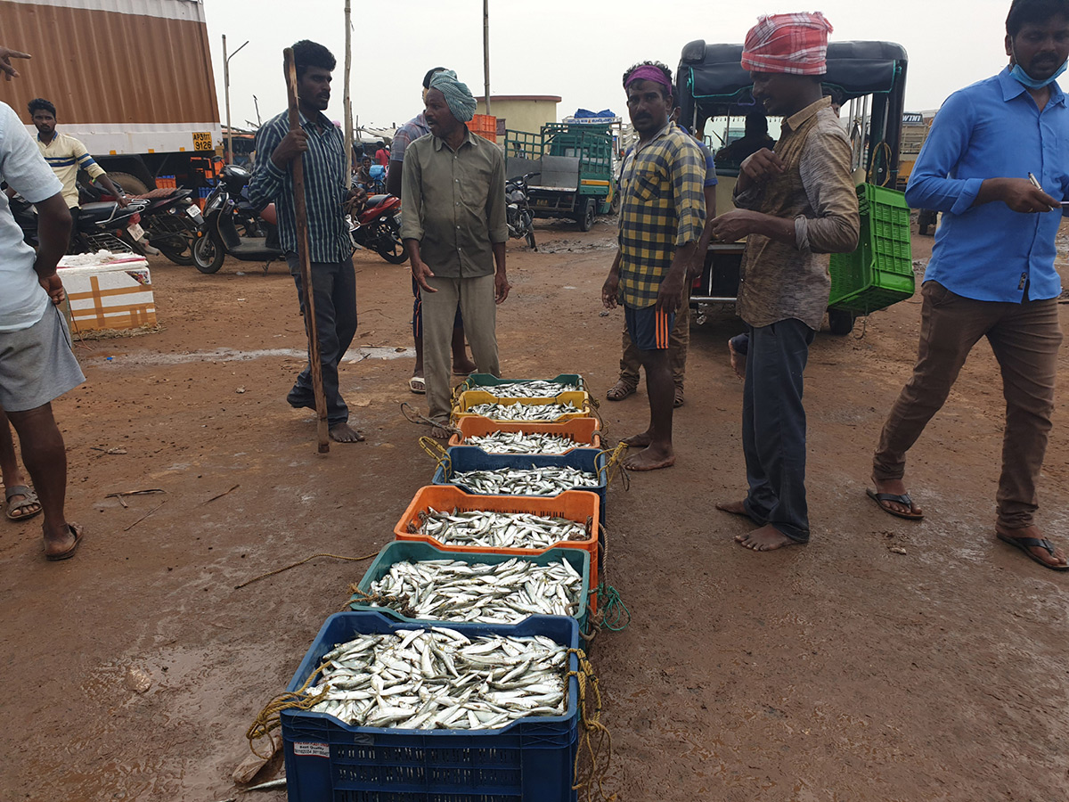 visakhapatnam fishing harbour photo gallery - Sakshi10