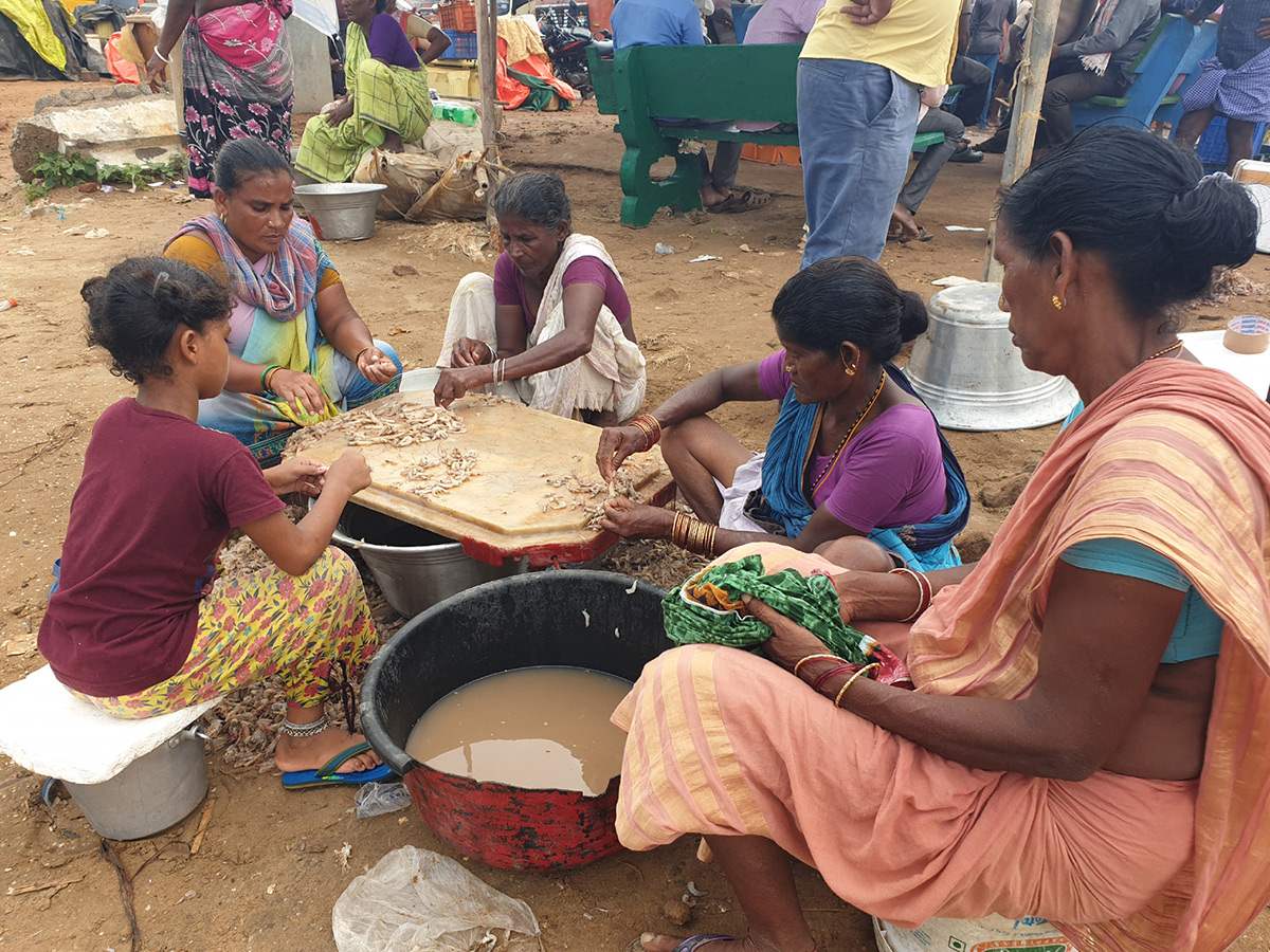 visakhapatnam fishing harbour photo gallery - Sakshi11