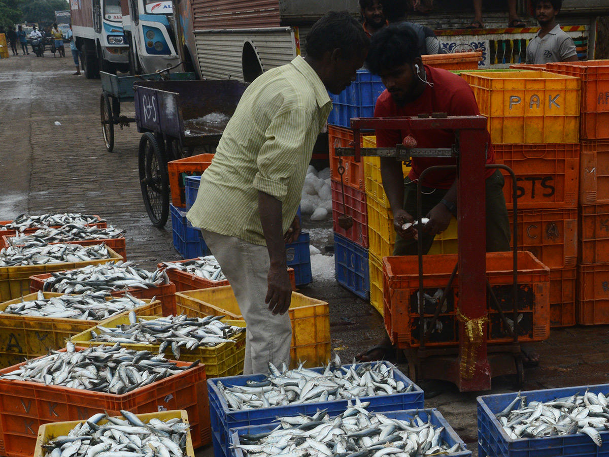 visakhapatnam fishing harbour photo gallery - Sakshi13