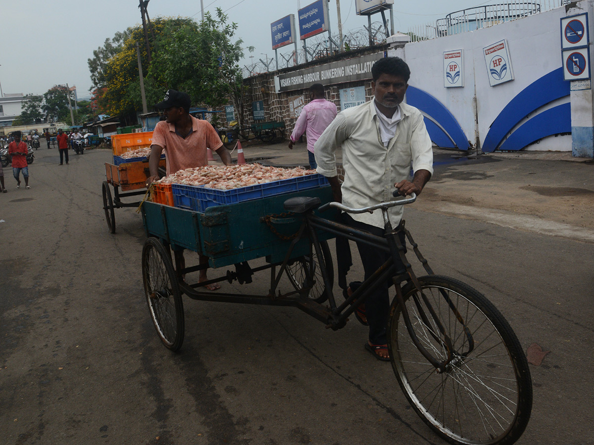 visakhapatnam fishing harbour photo gallery - Sakshi14