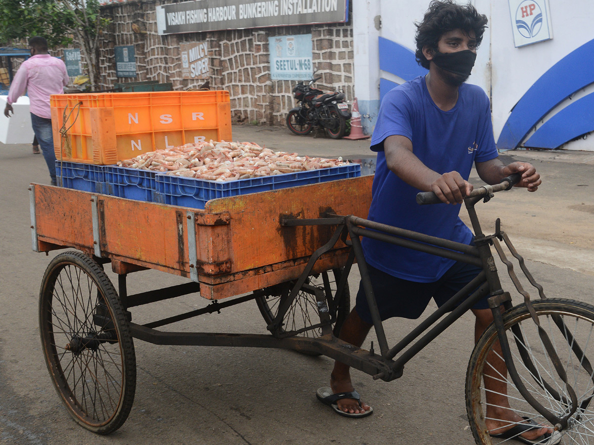 visakhapatnam fishing harbour photo gallery - Sakshi15