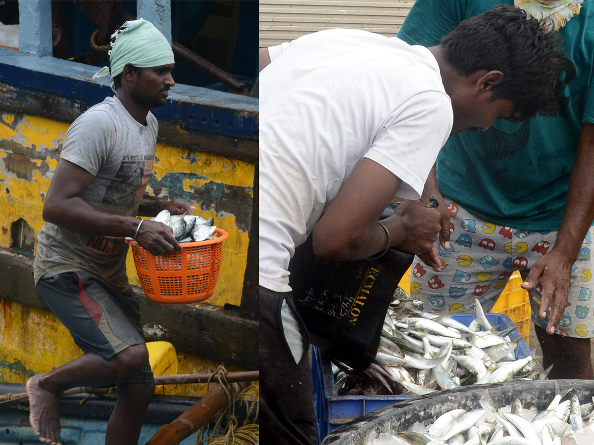 visakhapatnam fishing harbour photo gallery - Sakshi19