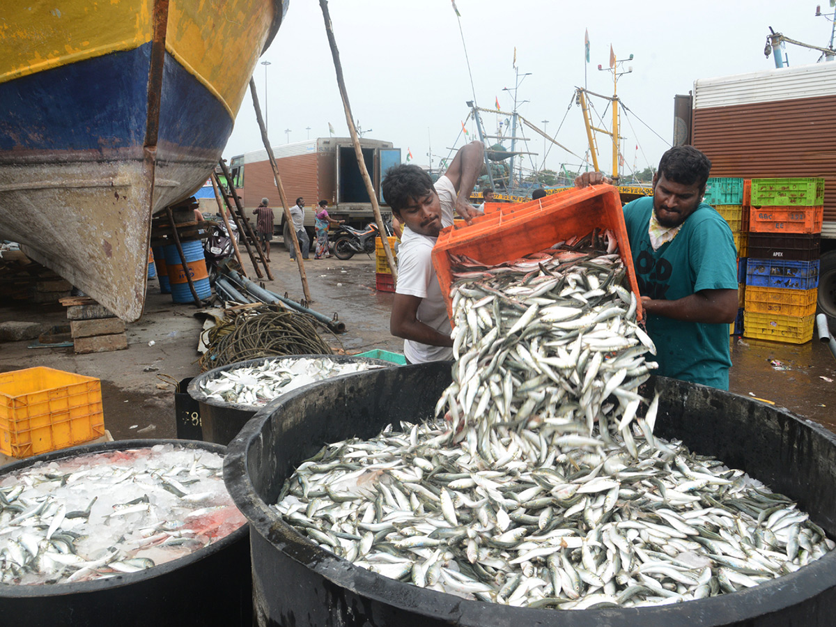 visakhapatnam fishing harbour photo gallery - Sakshi2