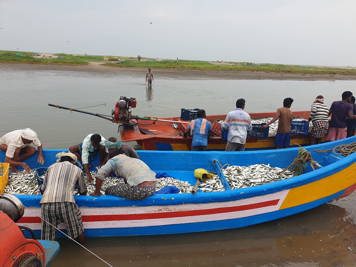 visakhapatnam fishing harbour photo gallery - Sakshi6