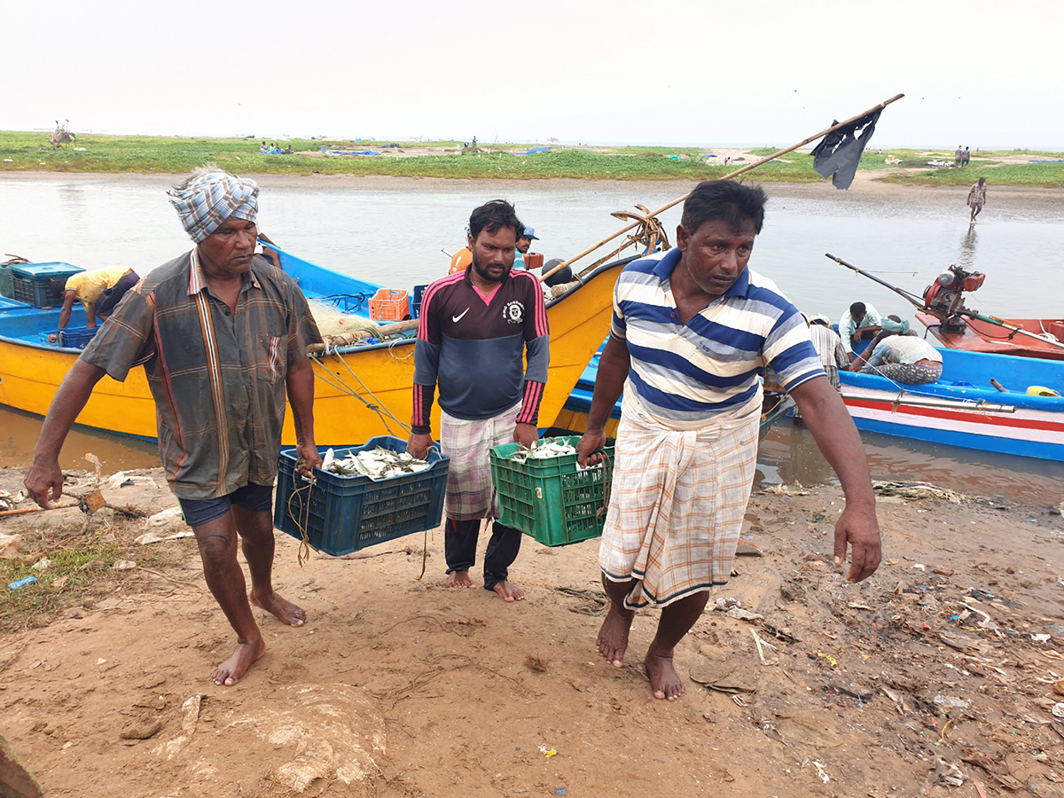 visakhapatnam fishing harbour photo gallery - Sakshi7