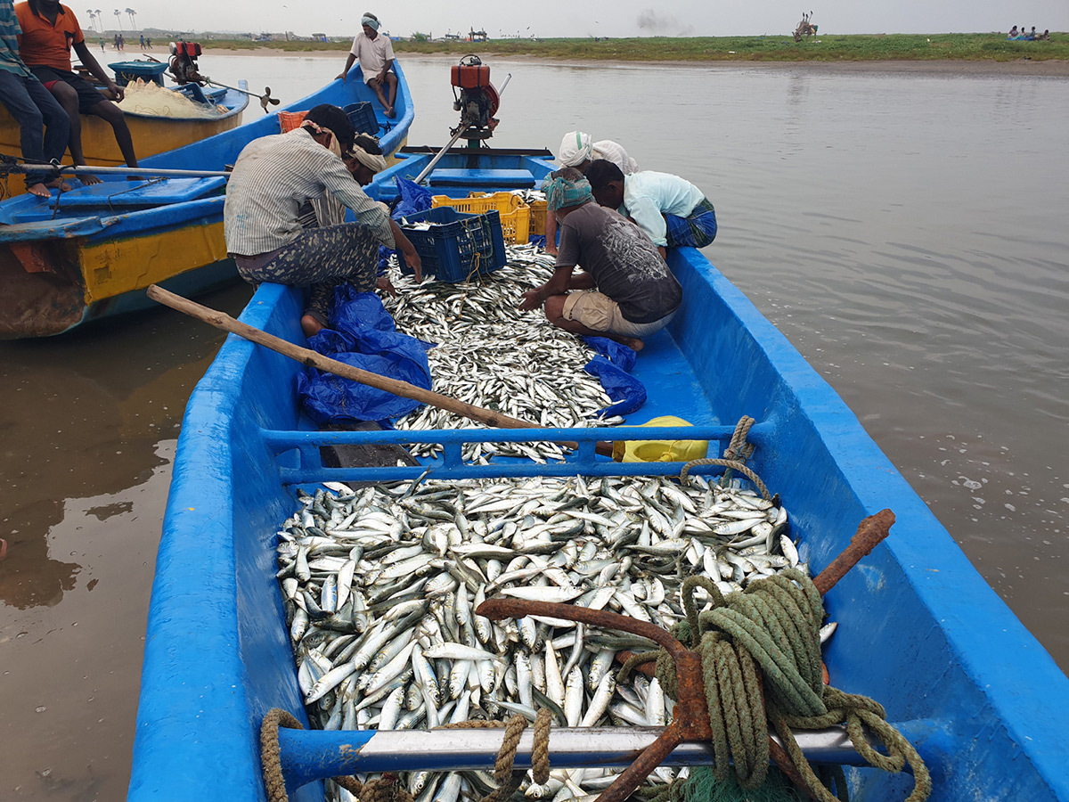 visakhapatnam fishing harbour photo gallery - Sakshi8