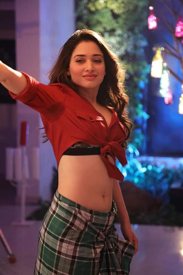  Actress Tamanna bhatia Exclusive Photo Gallery - Sakshi25