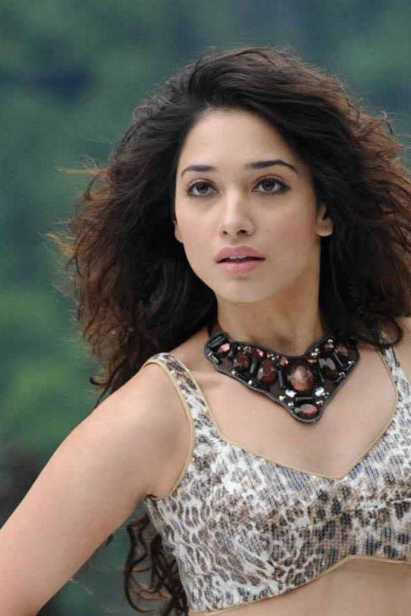  Actress Tamanna bhatia Exclusive Photo Gallery - Sakshi3