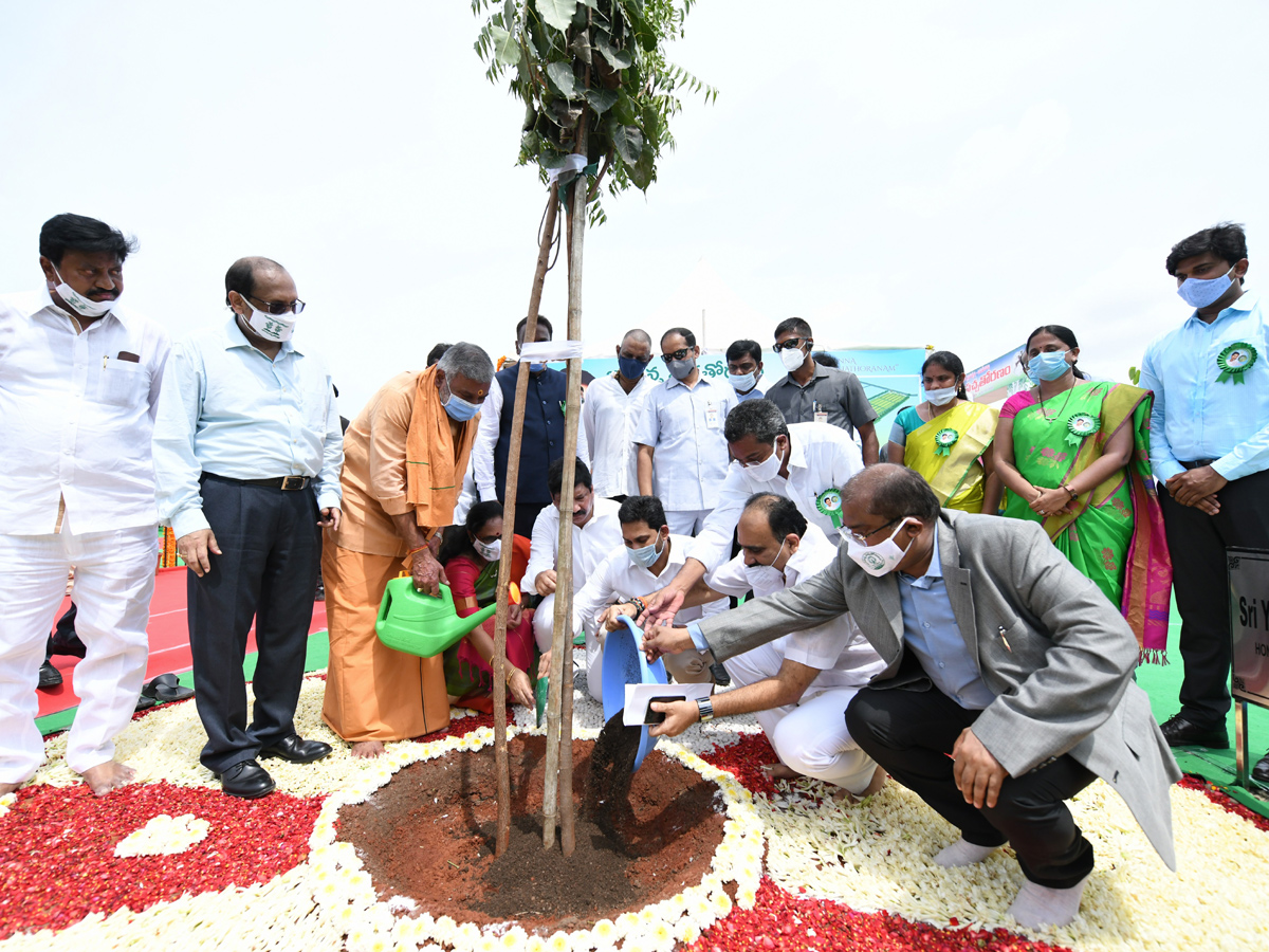 CM Jagan launches 71st Vana Mahotsavam in Krishna district Photo Gallery - Sakshi10