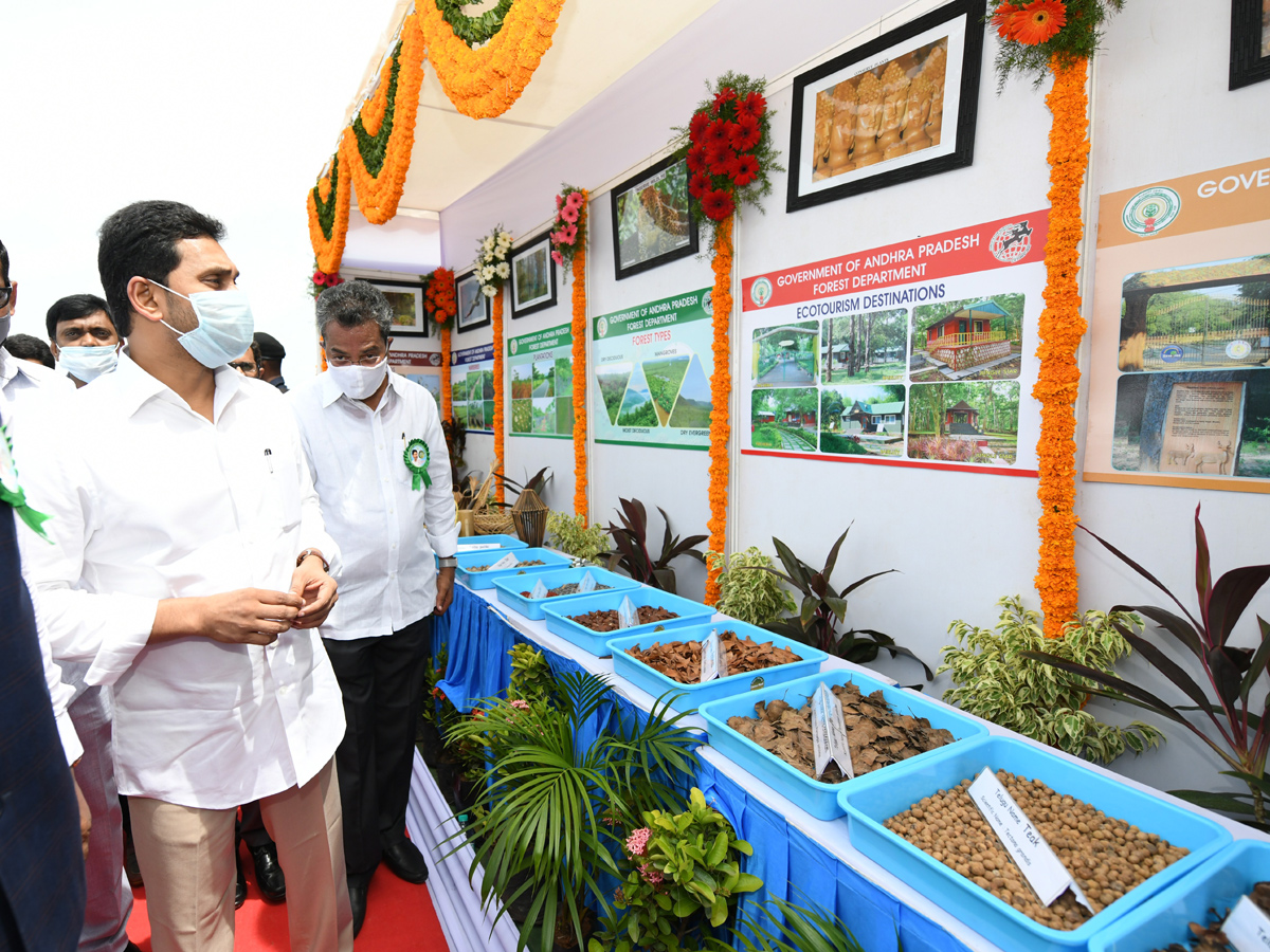 CM Jagan launches 71st Vana Mahotsavam in Krishna district Photo Gallery - Sakshi12