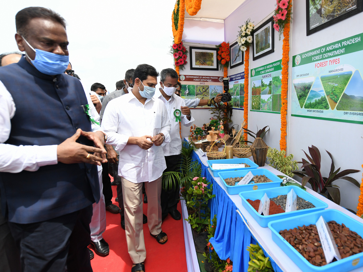 CM Jagan launches 71st Vana Mahotsavam in Krishna district Photo Gallery - Sakshi13