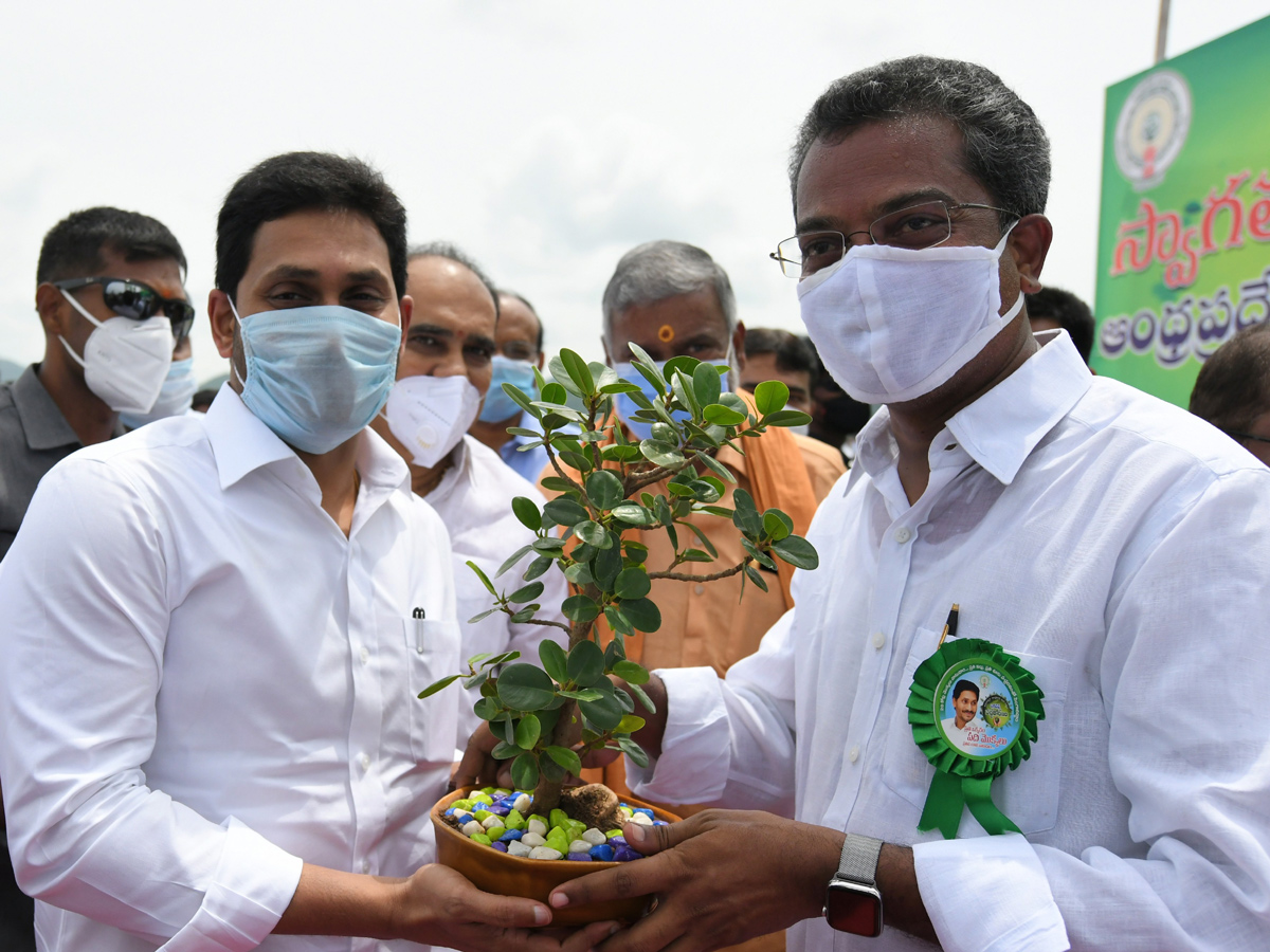 CM Jagan launches 71st Vana Mahotsavam in Krishna district Photo Gallery - Sakshi15