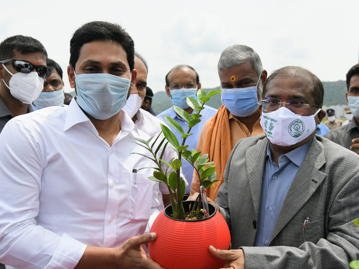 CM Jagan launches 71st Vana Mahotsavam in Krishna district Photo Gallery - Sakshi16