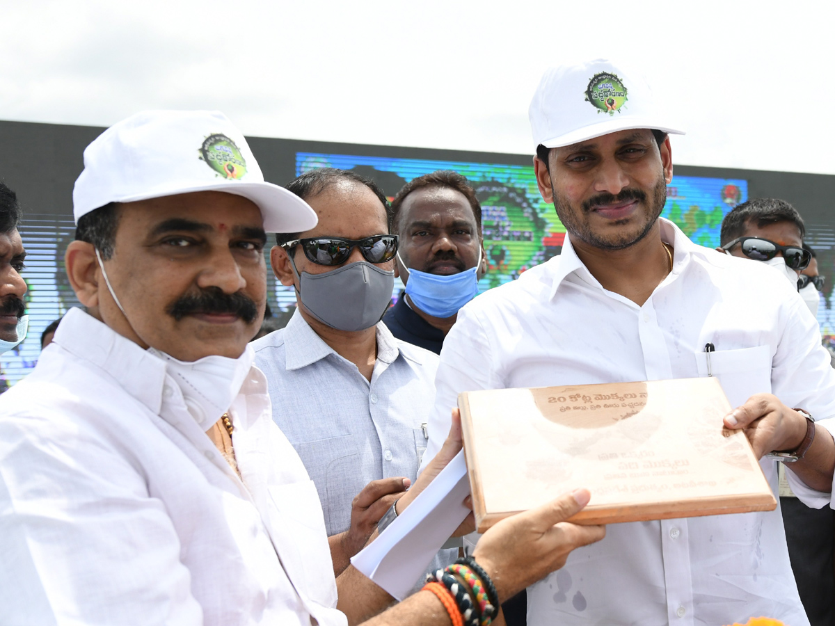 CM Jagan launches 71st Vana Mahotsavam in Krishna district Photo Gallery - Sakshi4