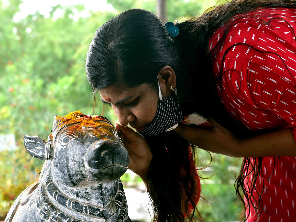 nag panchami celebrations in telangana photo gallery - Sakshi17