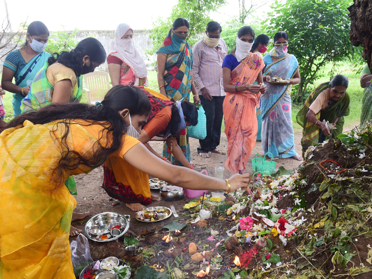 nag panchami celebrations in telangana photo gallery - Sakshi3