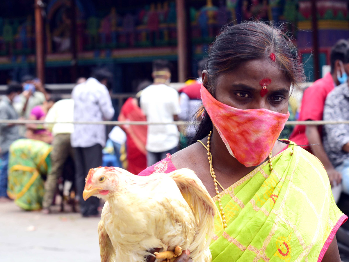 balkampet yellamma bonalu Photo Gallery - Sakshi13