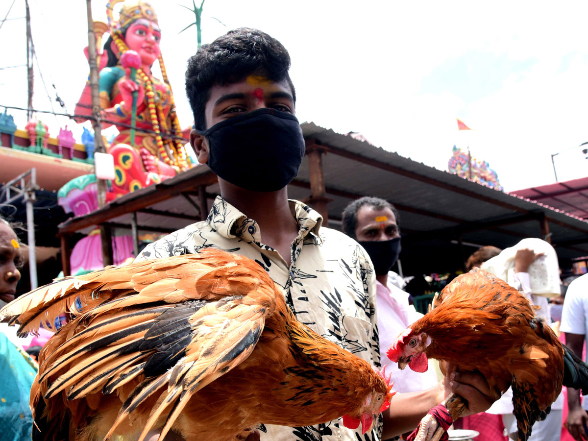 balkampet yellamma bonalu Photo Gallery - Sakshi7