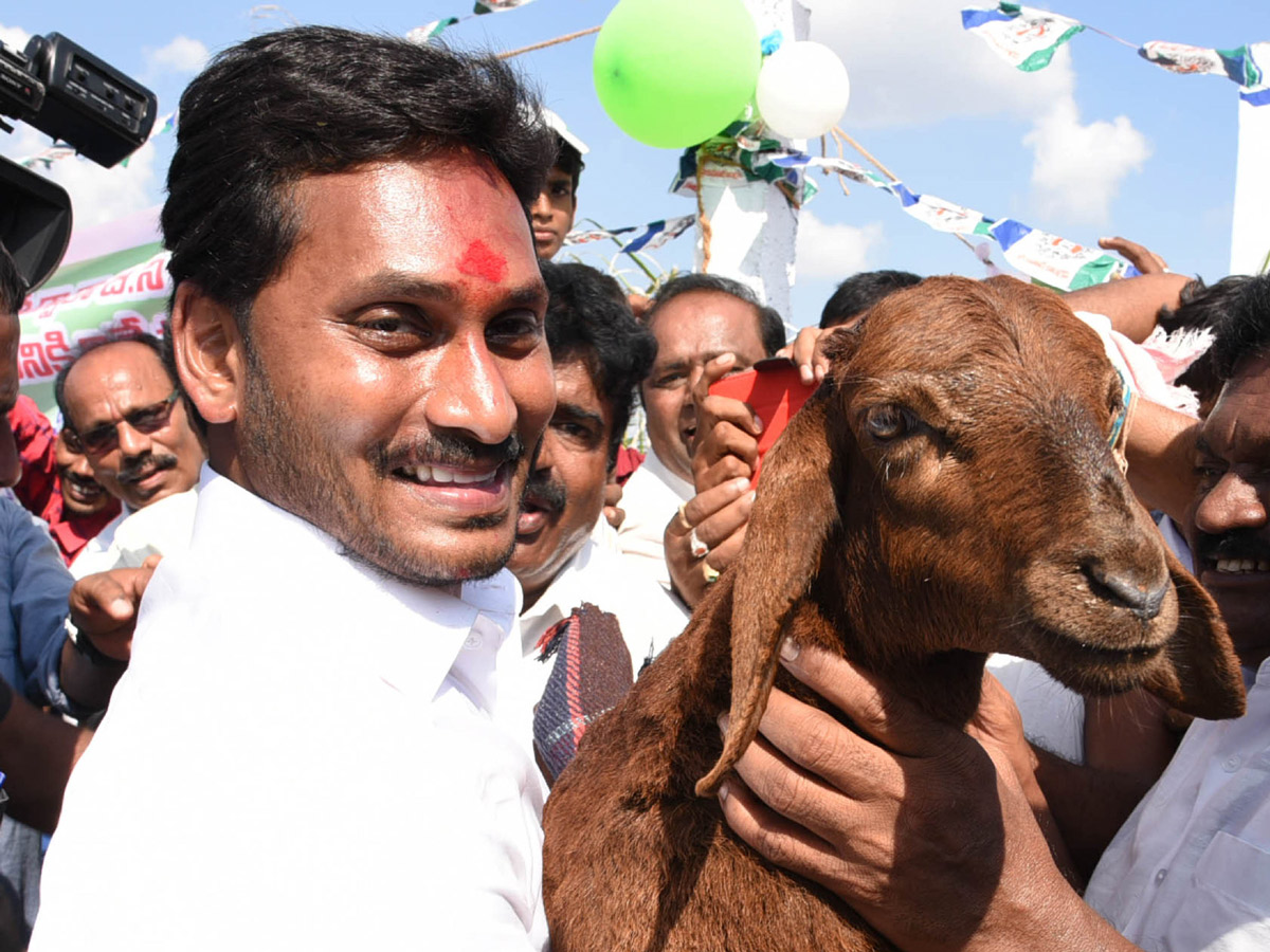 YS Rajasekhara Reddy and YS Jagan Mohan Reddy Photos Gallery - Sakshi11