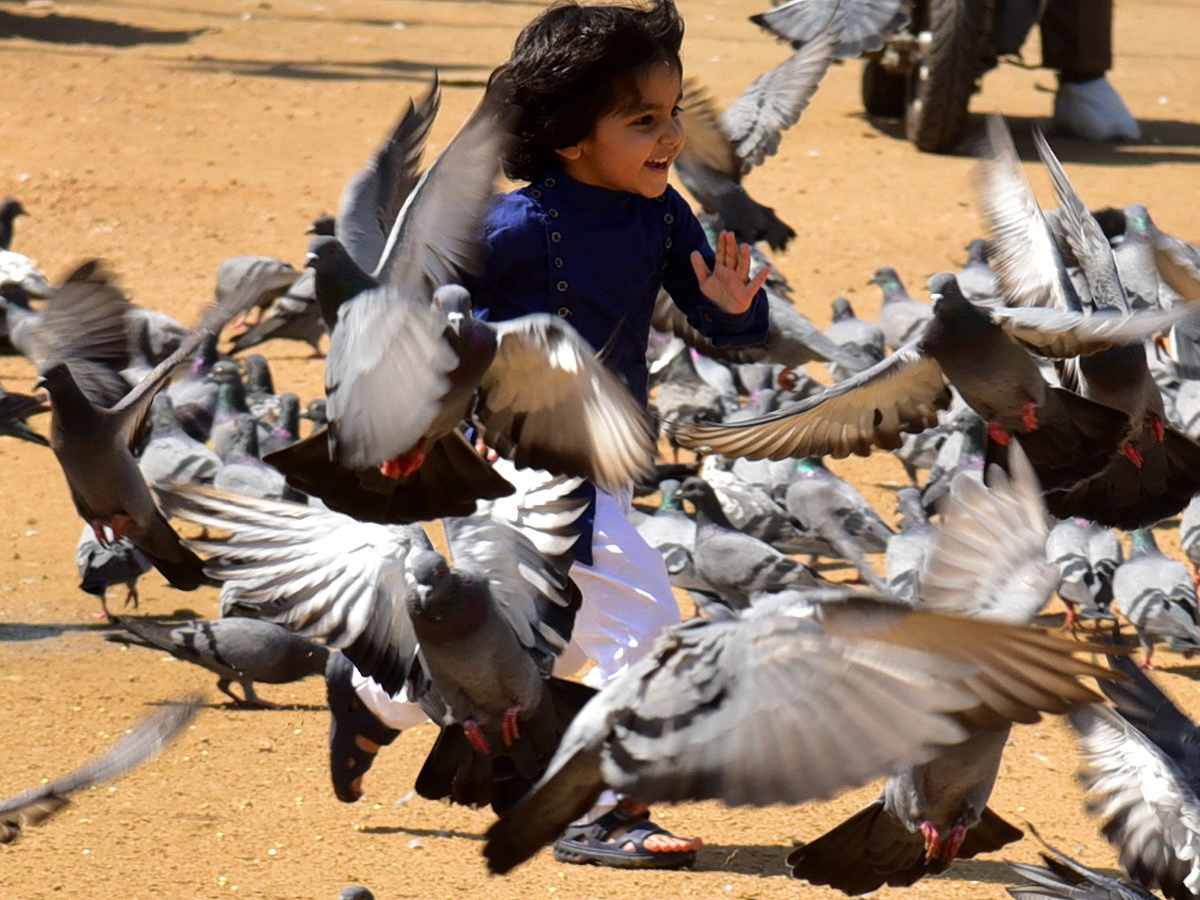 bakrid celebrations in hyderabad Photo Gallery - Sakshi9