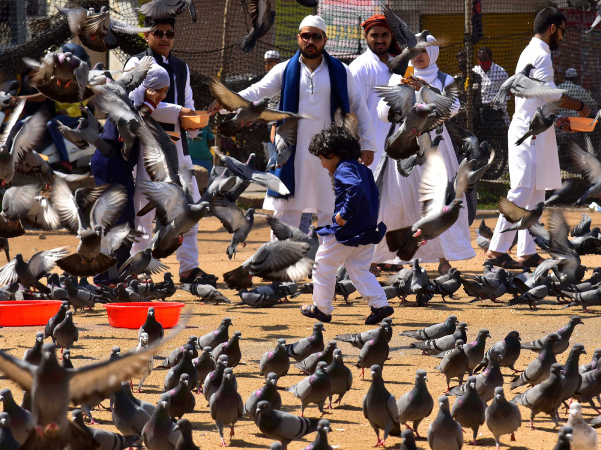 bakrid celebrations in hyderabad Photo Gallery - Sakshi15