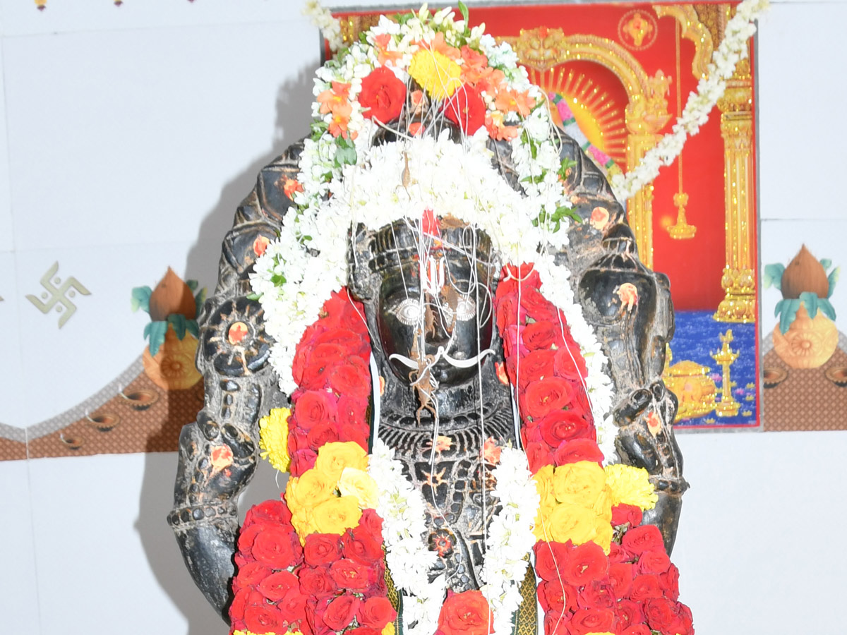 Scorpions Offered to God in Kurnool photo gallery - Sakshi4