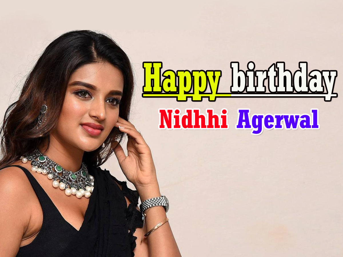  Happy birthday Nidhhi Agerwal  photo gallery - Sakshi1