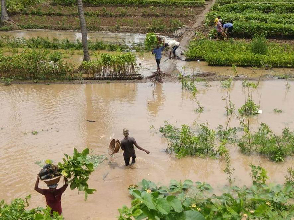 Godavari River Water Level Heavy Rains In Rajahmundry  - Sakshi30