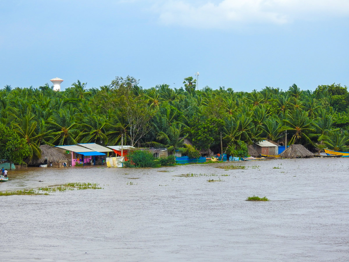 Godavari River Water Level Heavy Rains In Rajahmundry  - Sakshi57