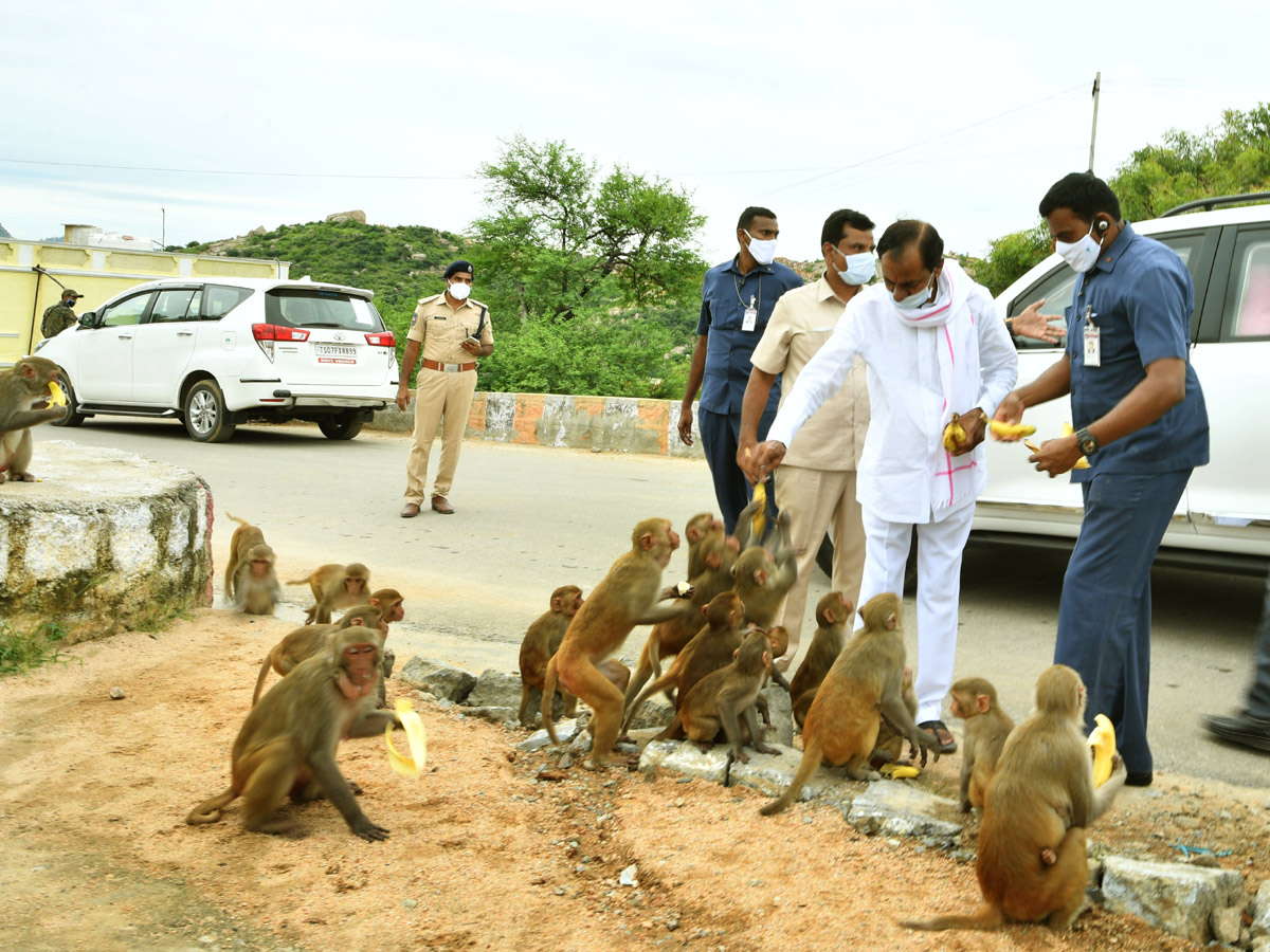 CM KCR visits Laxmi Narasimha swamy temple at Yadagirigutta - Sakshi53