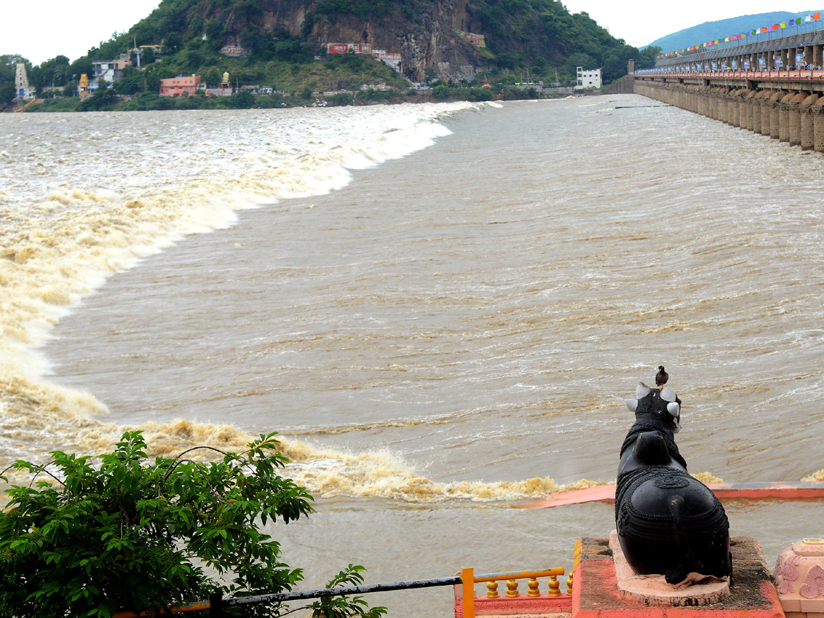 Heavy Waterfall in Krishna River Photo Gallery - Sakshi1