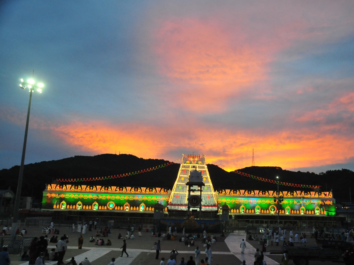 Tirumala Srivari Brahmotsavam 2020 Photo Gallery - Sakshi11