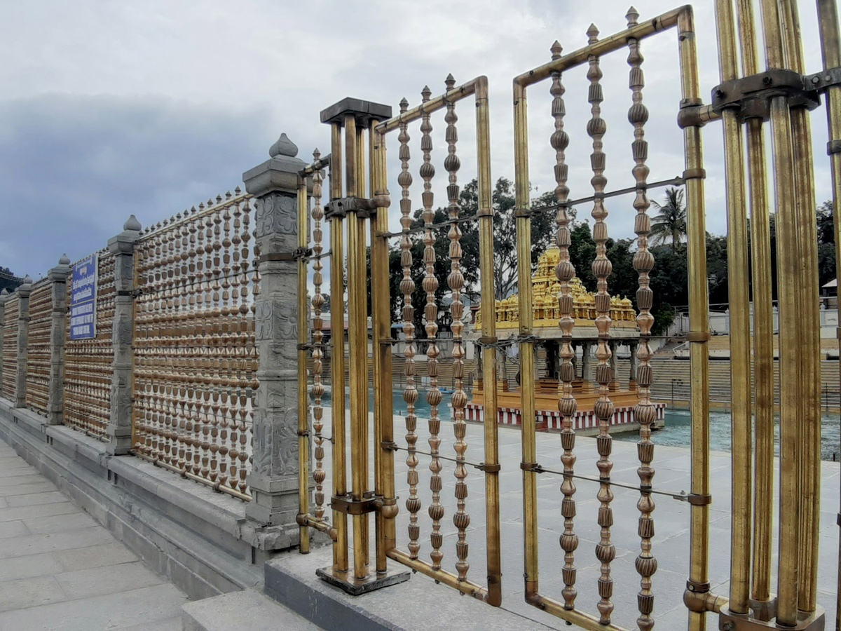 Tirumala Srivari Brahmotsavam 2020 Photo Gallery - Sakshi20