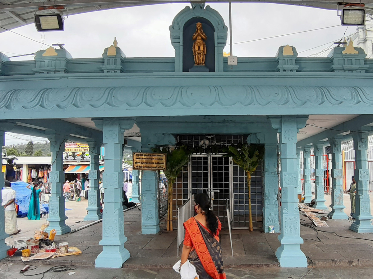 Tirumala Srivari Brahmotsavam 2020 Photo Gallery - Sakshi23