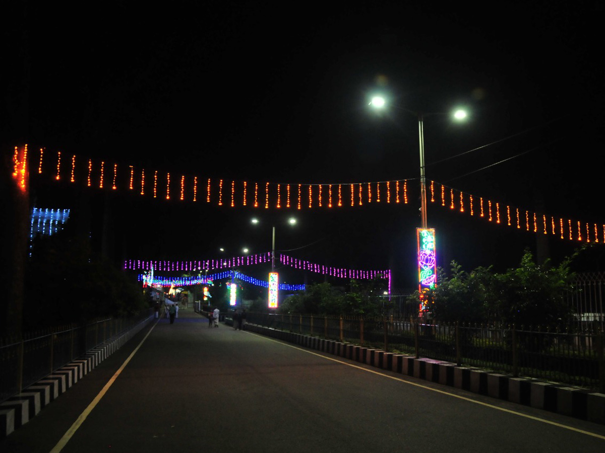 Tirumala Srivari Brahmotsavam 2020 Photo Gallery - Sakshi28