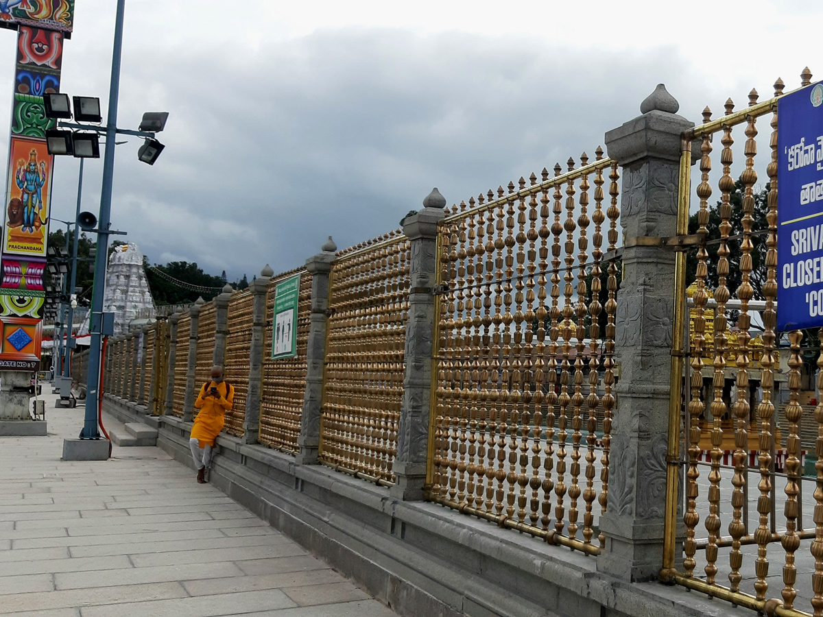 Tirumala Srivari Brahmotsavam 2020 Photo Gallery - Sakshi8