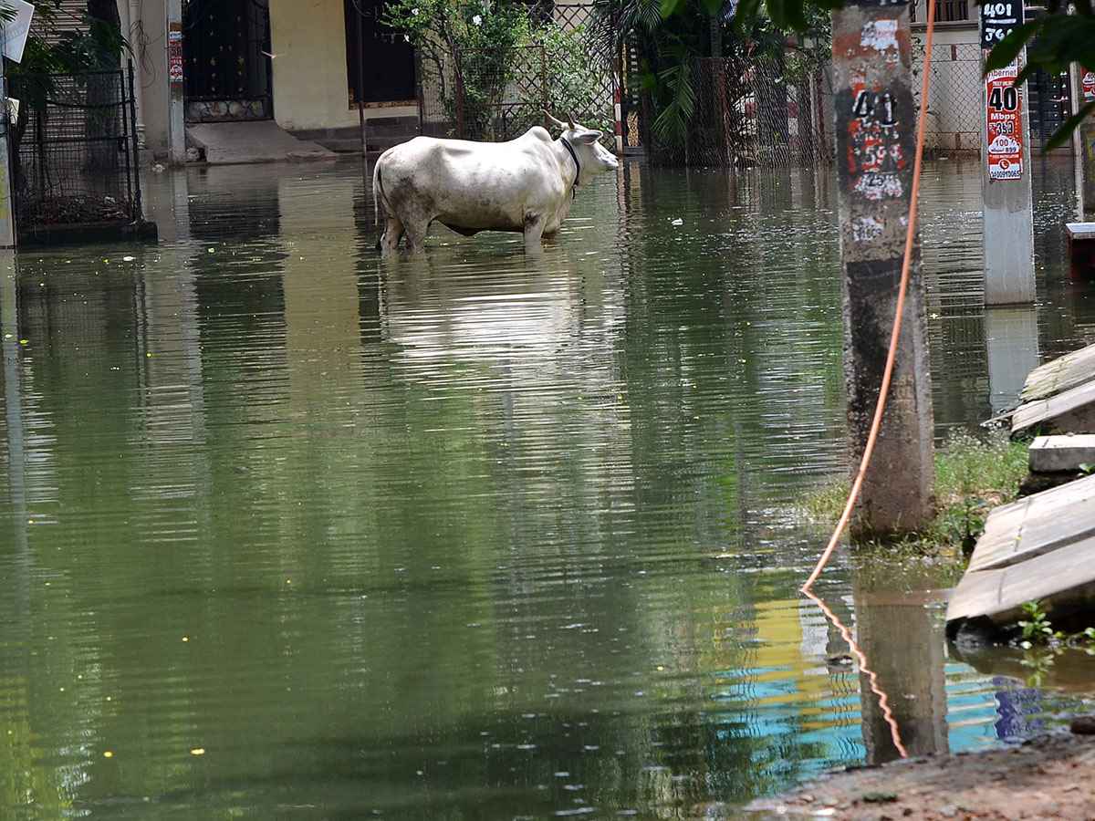 Heavy Rains in Hyderabad Photos - Sakshi23