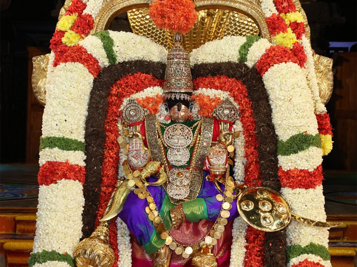 Tirumala Tirupati Brahmotsavam 2020 - Sakshi11