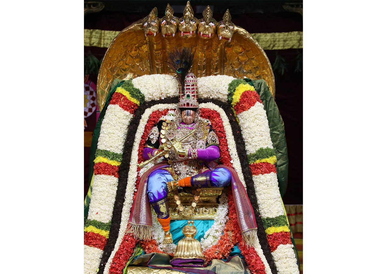 Tirumala Srivari Brahmotsavam 2020 Photo Gallery - Sakshi2