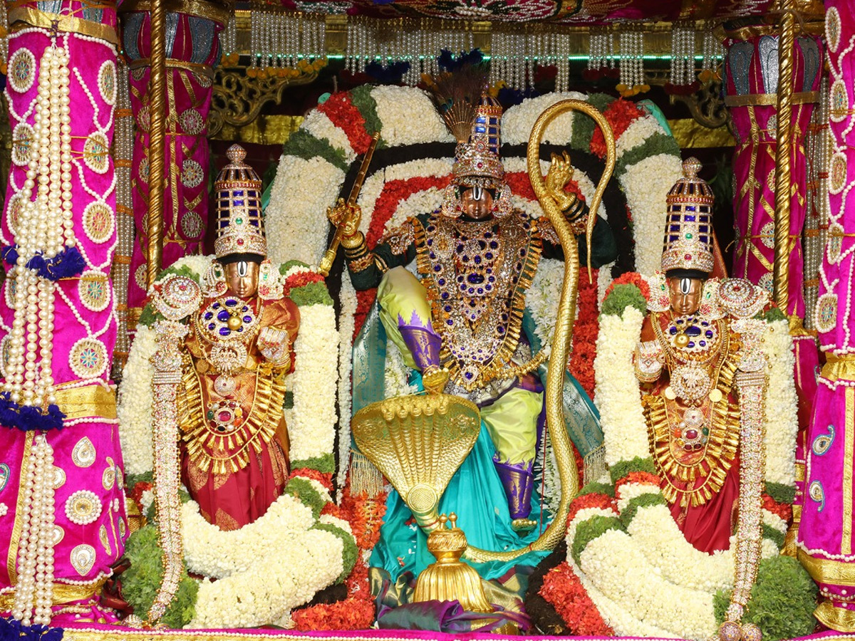 Tirumala Srivari Brahmotsavam 2020 Photo Gallery - Sakshi3